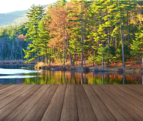 45617589 - pond in white mountain national forest, new hampshire, usa.